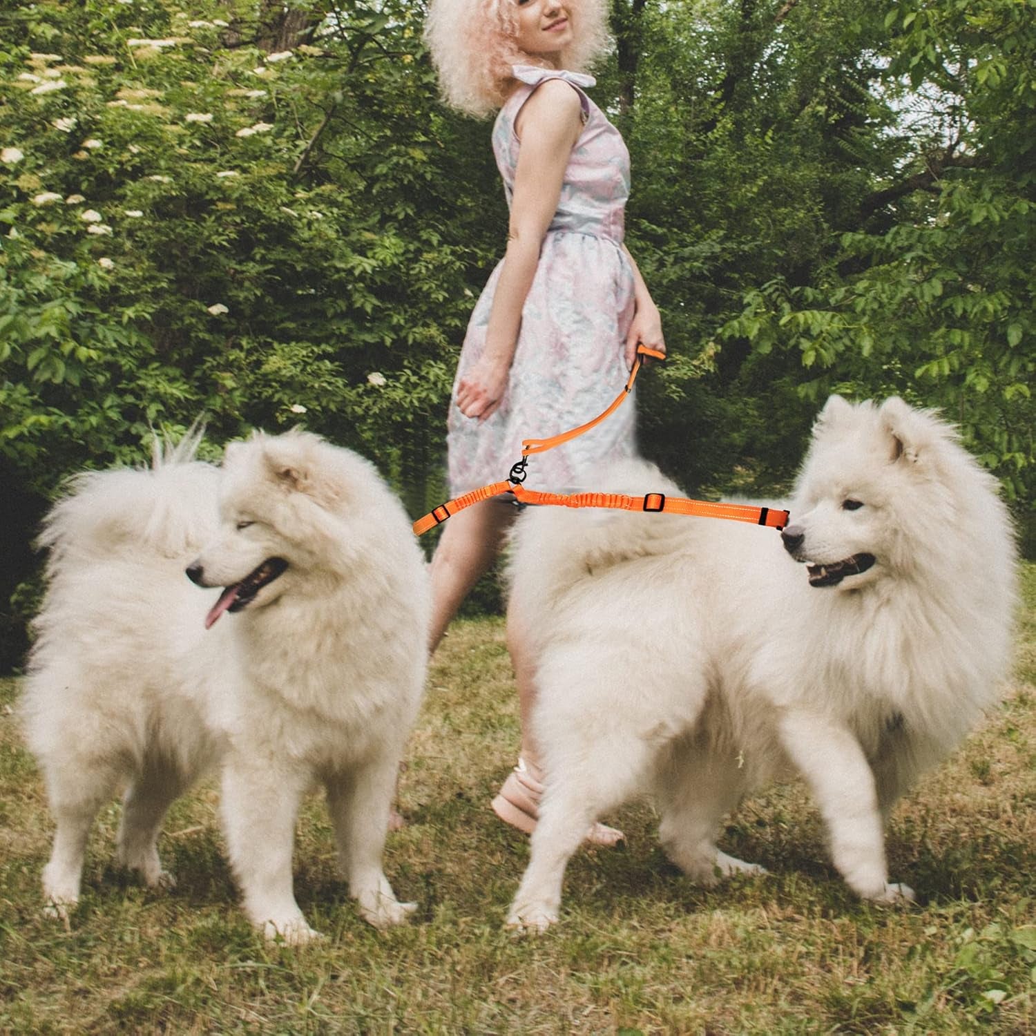 Dual Retractable Dog Leash,Double Dog Leash,Adjustable Tangle Free 360 Swivel Hooks Shock Absorbing Bungee for Two Dogs(Orange,Large)