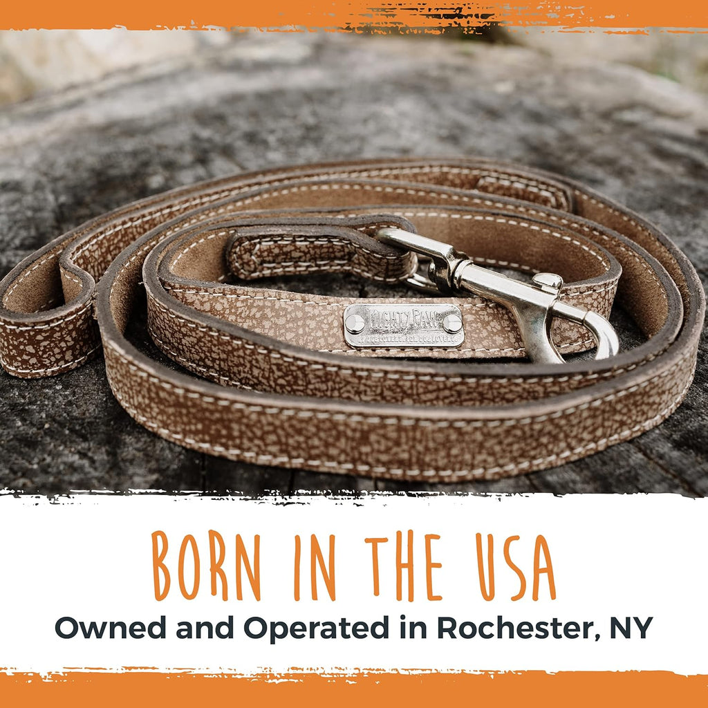 Luxury Leather Dog Leash - Genuine Material Leather Leashes for All Pet Sizes - Pet Lead - 5 Ft Premium Quality - Soft Material - Light Brown