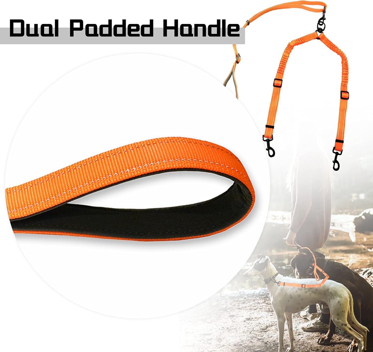 Dual Retractable Dog Leash,Double Dog Leash,Adjustable Tangle Free 360 Swivel Hooks Shock Absorbing Bungee for Two Dogs(Orange,Large)